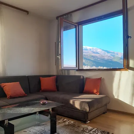 Levkov Apartament Petrici