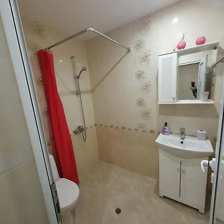 Apartament Levkov *