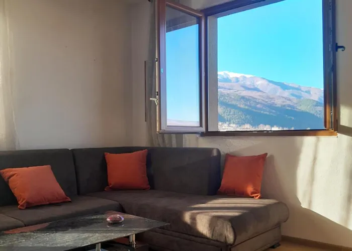 Levkov 公寓 佩特里奇