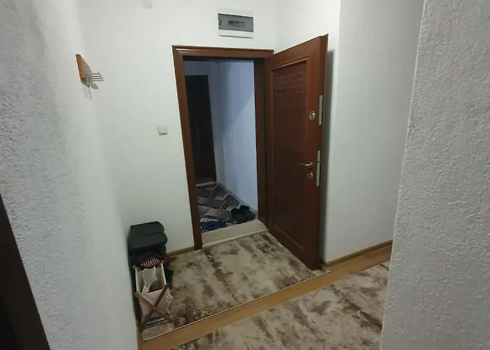 Levkov * 佩特里奇