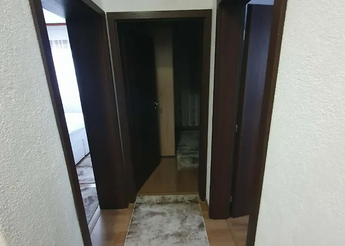 Levkov * 佩特里奇